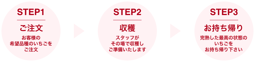 Store Step画像