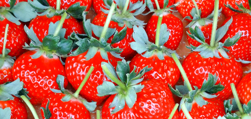 strawberryコンセプト画像