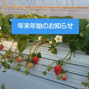 【2025～2026年 年末年始のお知らせ✴️】